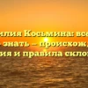 Фамилия Косьмина: все, что важно знать — происхождение, история и правила склонения