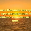 Фамилия Котаки: интересная история происхождения, значение и правильное склонение в наши дни.