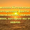 Фамилия Котеняткина: интересные факты о происхождении, значении и склонении, которые вы точно не знали