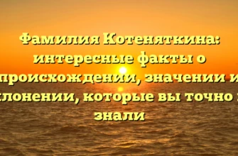 Фамилия Котеняткина: интересные факты о происхождении, значении и склонении, которые вы точно не знали Фамилия Котеняткина: интересные факты о происхождении, значении и склонении, которые вы точно не знали