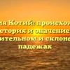 Фамилия Котий: происхождение, история и значение в именительном и склоненном падежах