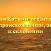 Фамилия Коткин: всё, что нужно знать о происхождении, значении и склонении