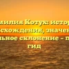 Фамилия Котух: история происхождения, значение и правильное склонение – полный гид