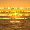 Фамилия Крестьян: история происхождения, значение и правильное склонение в единственном и множественном числе