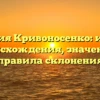 Фамилия Кривоносенко: история происхождения, значение и правила склонения