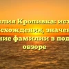 Фамилия Кропивка: история происхождения, значение и склонение фамилии в подробном обзоре
