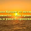 Фамилия Кушев: от истории до значимости — как правильно склонять и узнать происхождение