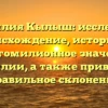 Фамилия Кылыш: исследуем происхождение, историю и многомилионное значение фамилии, а также приводим правильное склонение