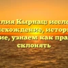 Фамилия Кырнац: исследуем происхождение, историю и значение, узнаем как правильно склонять