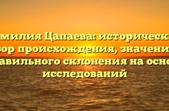 Фамилия Цапаева: исторический обзор происхождения, значения и правильного склонения на основе исследований