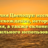 Фамилия Цвелодуб: исследуем происхождение, историю и значения, а также склонение для правильного использования