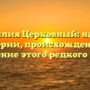 Фамилия Церковный: начало истории, происхождение и склонение этого редкого имени