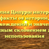 Фамилия Ципура: интересные факты об истории, происхождении и значениях с полным склонением для использования