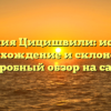 Фамилия Цицишвили: история, происхождение и склонение – подробный обзор на сайте