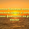 Фамилия Чакмак: история, происхождение и полное склонение фамилии на русском языке