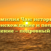 Фамилия Чан: история, происхождение и полное склонение — подробный обзор