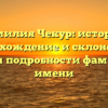 Фамилия Чекур: история, происхождение и склонение — изучаем подробности фамильного имени