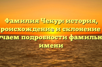 Фамилия Чекур: история, происхождение и склонение — изучаем подробности фамильного имени Фамилия Чекур: история, происхождение и склонение — изучаем подробности фамильного имени