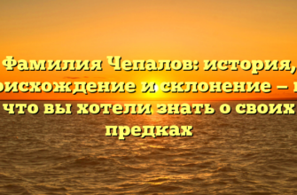 Фамилия Чепалов: история, происхождение и склонение — все, что вы хотели знать о своих предках Фамилия Чепалов: история, происхождение и склонение — все, что вы хотели знать о своих предках