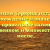 Фамилия Червона: история, происхождение и значение, а также правильное склонение в единственном и множественном числе