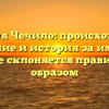Фамилия Чечило: происхождение, значение и история за именем, которое склоняется правильным образом