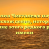 Фамилия Чисталева: изучаем происхождение, историю и склонение этого редкого русского имени