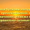Фамилия Чулкова: интересные факты о происхождении, истории и значении, а также как правильно склонять