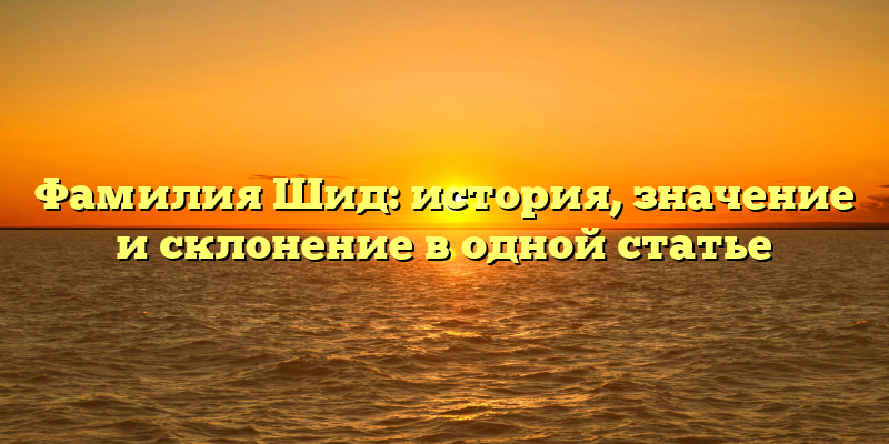 Фамилия Шид: история, значение и склонение в одной статье