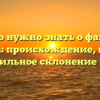 Все, что нужно знать о фамилии Галочка: происхождение, история и правильное склонение имени