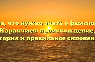 Все, что нужно знать о фамилии Каракчиев: происхождение, история и правильное склонение.