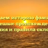 Изучаем историю фамилии Колешко: происхождение, значения и правила склонения