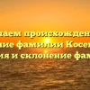 Изучаем происхождение и значение фамилии Косенковы: история и склонение фамилии