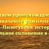 Изучаем происхождение и значение фамилии Цаль-Лизогубова: история и правильное склонение в статье