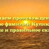 Изучаем происхождение и историю фамилии Куликовских: значение и правильное склонение
