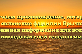 Изучаем происхождение, историю и склонение фамилии Брычка: важная информация для всех исследователей генеалогии Изучаем происхождение, историю и склонение фамилии Брычка: важная информация для всех исследователей генеалогии