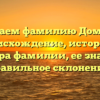 Изучаем фамилию Домбаев: происхождение, история и структура фамилии, ее значение и правильное склонение.