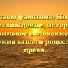 Изучаем фамилию Кипин: происхождение, история и правильное склонение для украшения вашего родословного древа