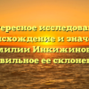 Интересное исследование: происхождение и значение фамилии Инкижинова и правильное ее склонение.