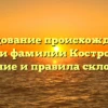Исследование происхождения и истории фамилии Костромичев: значение и правила склонения