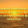 Исследование происхождения и склонения фамилии Куйдин: узнайте исторические факты и значение