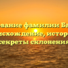 Исследование фамилии Басалыга: происхождение, история и секреты склонения