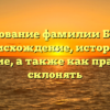 Исследование фамилии Боронок: происхождение, история и значение, а также как правильно склонять