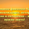 Исследование фамилии Чебакова: происхождение, история, значение и склонение — все, что нужно знать!