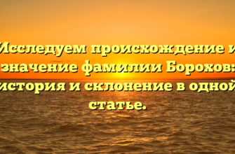 Исследуем происхождение и значение фамилии Борохов: история и склонение в одной статье.
