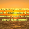 Исследуем происхождение, историю и склонение фамилии Чернышкова: узнайте значение своей фамилии!