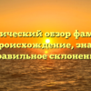 Исторический обзор фамилии Дреш: происхождение, значение и правильное склонение