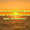 История и значение фамилии Чибряков: откуда происходит и как склонять?