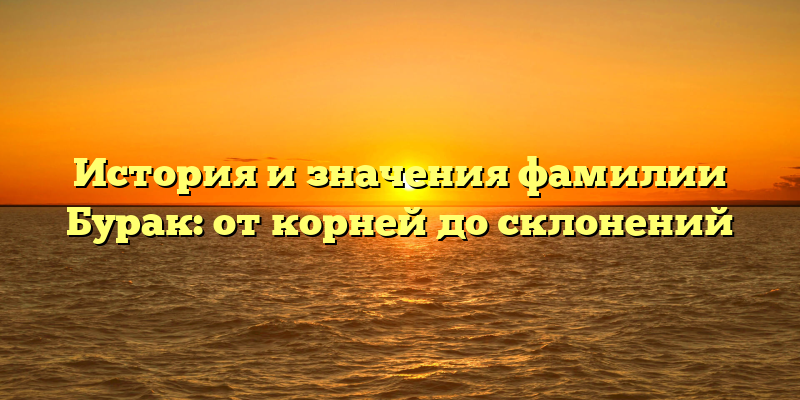 История и значения фамилии Бурак: от корней до склонений