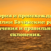 История и происхождение фамилии Бачинские: разбор значения и правильного склонения.