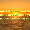 История и происхождение фамилии Гавронский: узнайте значение и особенности склонения